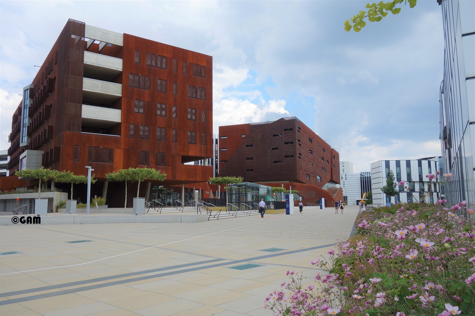 wu07_copyright_yannewman